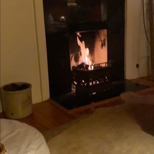 Meet your Posher, Leslie